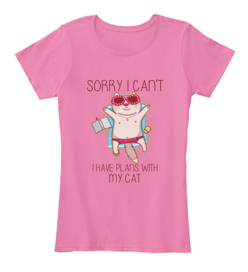 Sorry I Can't Sorry I Can't