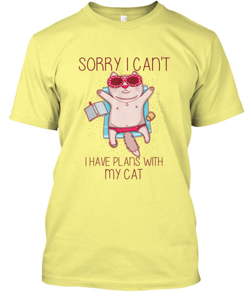 Sorry I Can't